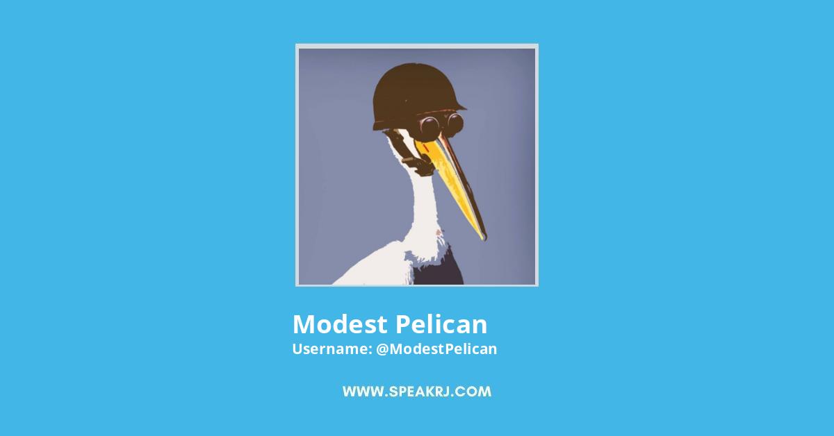 Modest Pelican Twitter Stats