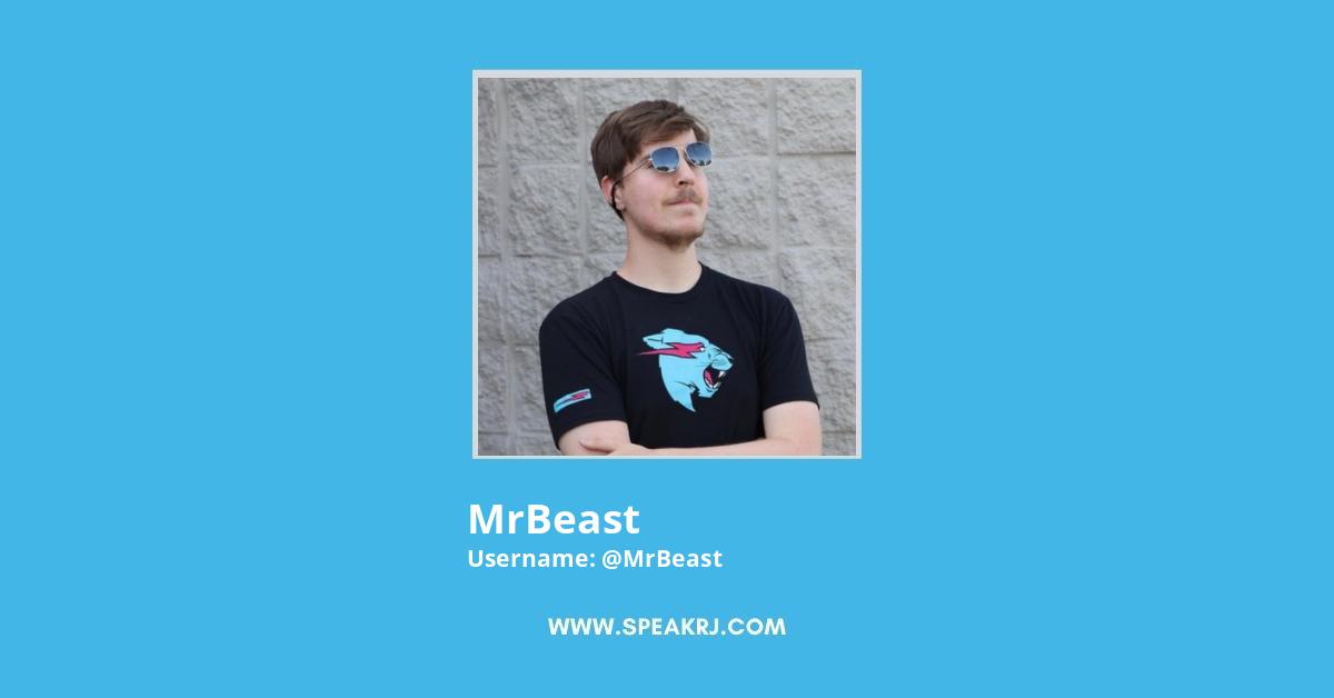 MrBeast email and Instagram Influencer profile - @mrbeast