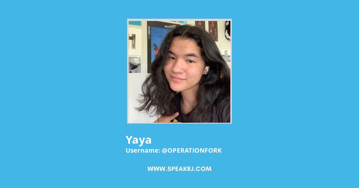yaya Twitter Stats