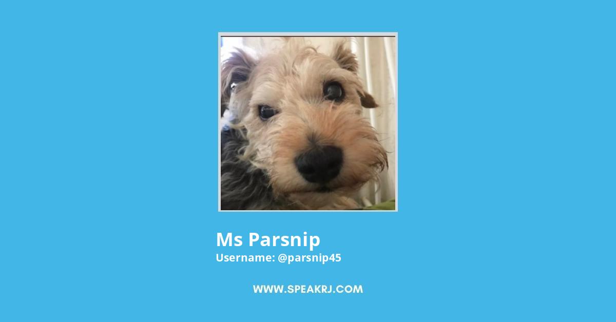 Ms Parsnip Twitter Stats