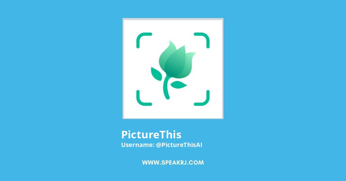 PictureThis Twitter Stats