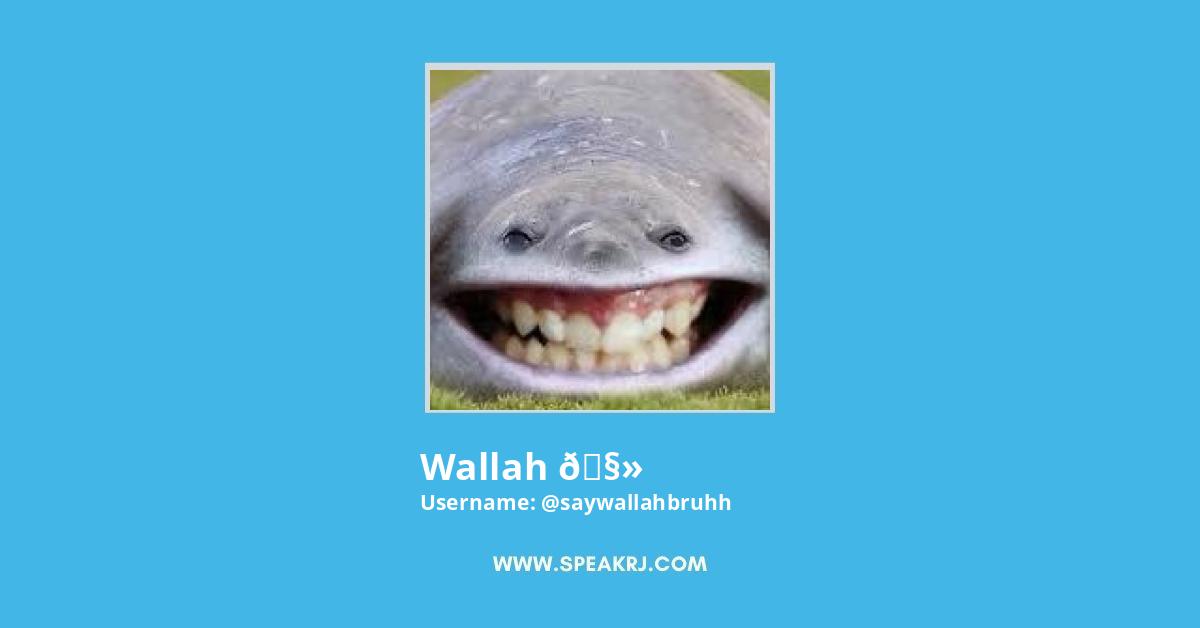 wallah 🧻 Twitter Stats