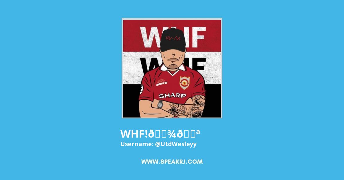 WHF!πΎπͺ Twitter Stats
