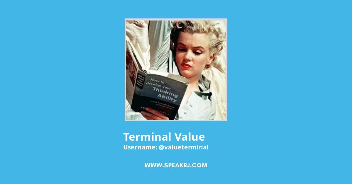 Terminal Value Twitter Stats