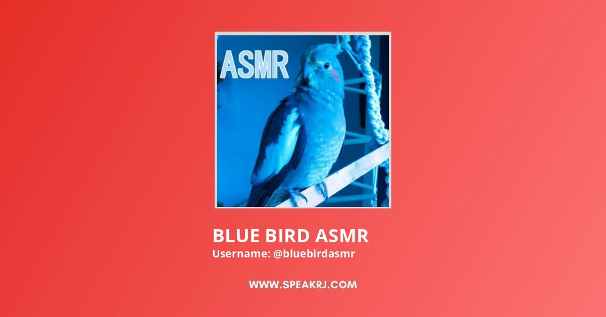 Blue Bird Asmr Youtube Channel Subscribers Statistics Speakrj Stats