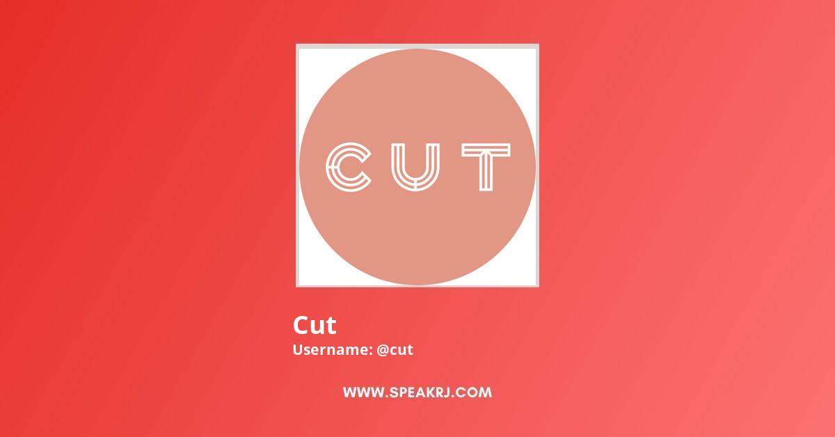 Cut YouTube Channel Statistics / Analytics SPEAKRJ Stats