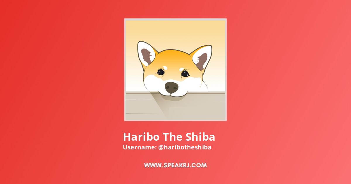 Haribo The Shiba YouTube Channel Stats