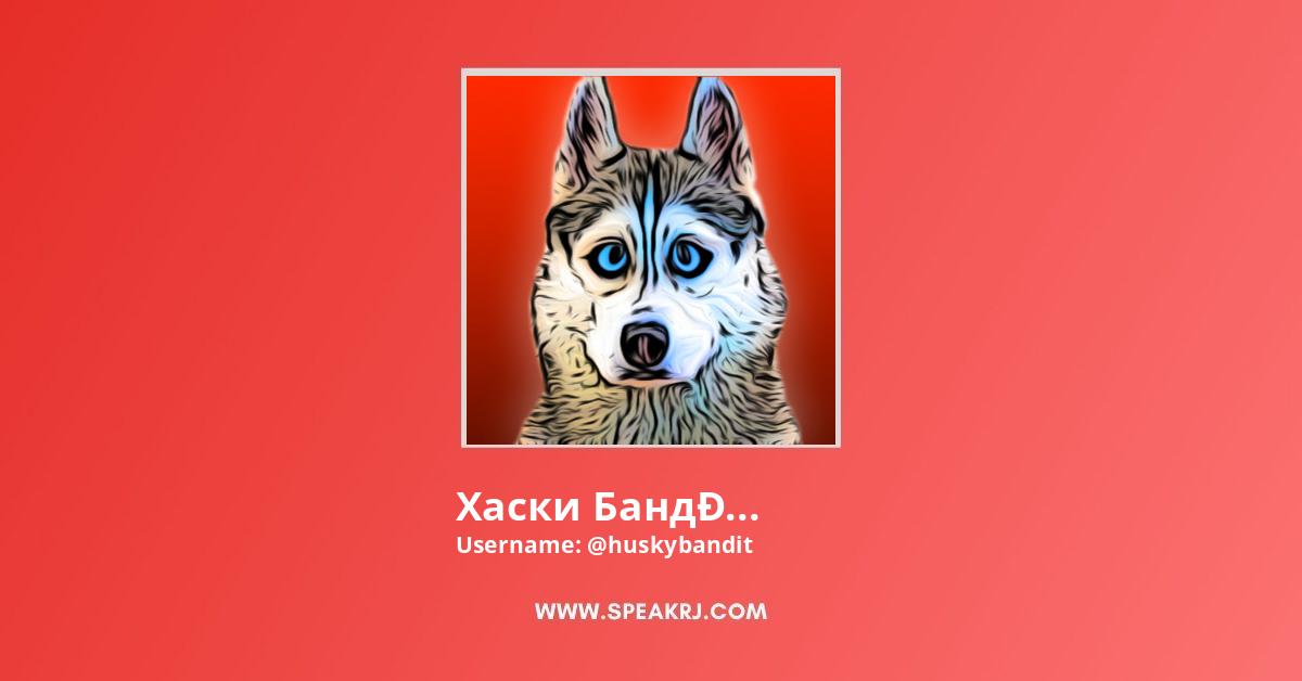 Хаски бандит новые Хаски бандит новые