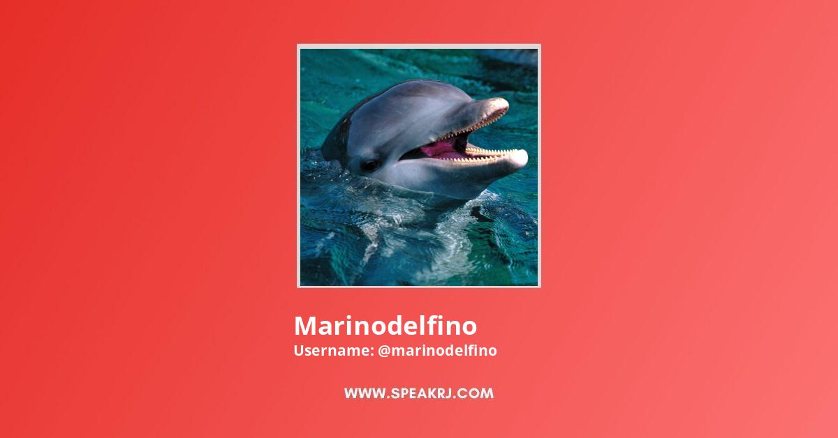 Marinodelfino YouTube Channel Stats