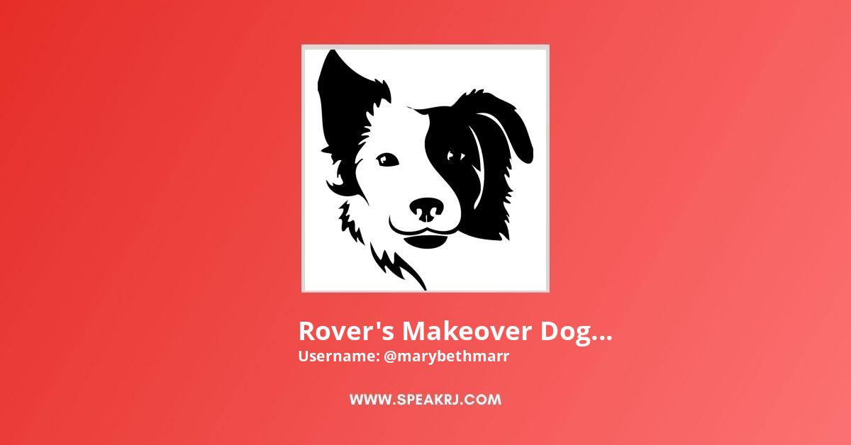 Rover's Makeover Dog Grooming YouTube Video Stats SPEAKRJ Stats