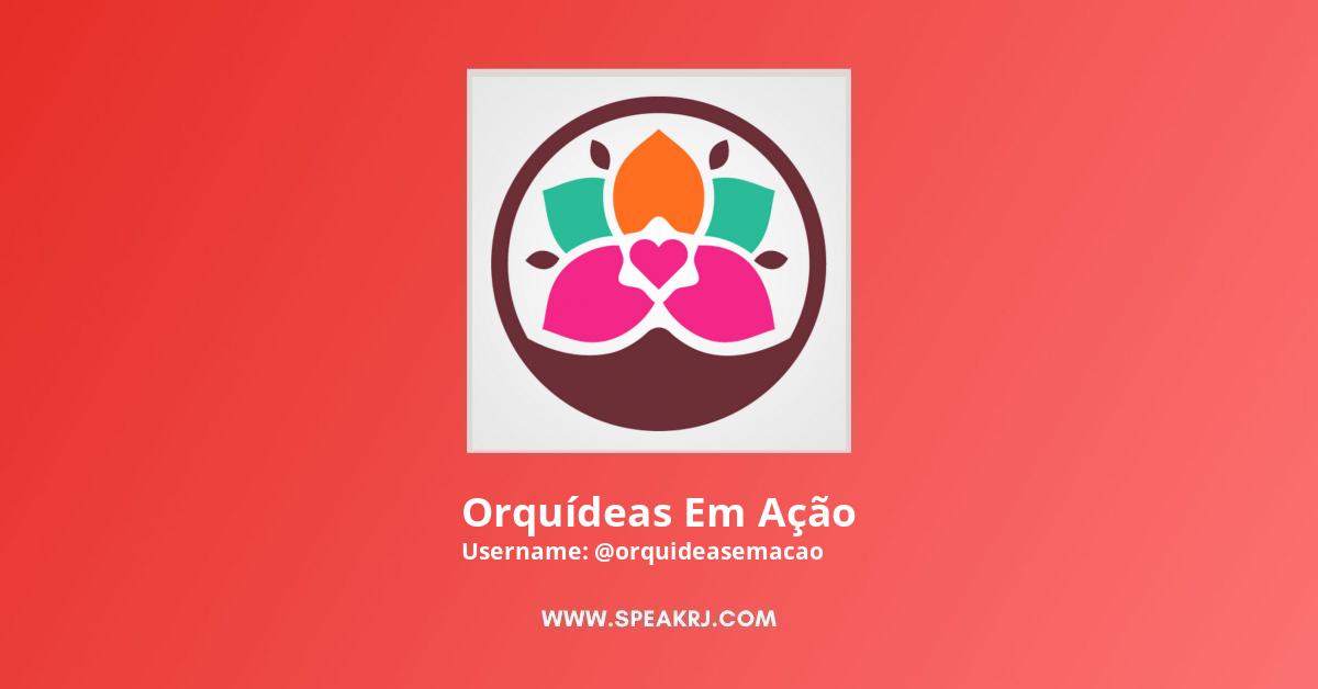 Orquídeas Em Ação YouTube Channel Stats