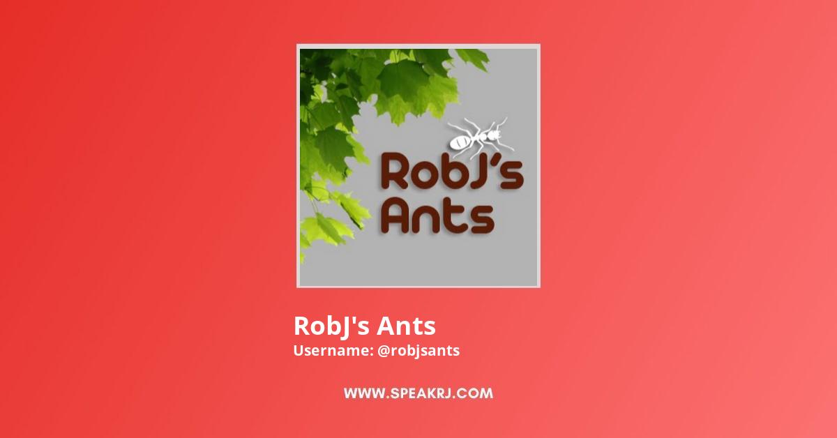 RobJ's Ants YouTube Channel Stats