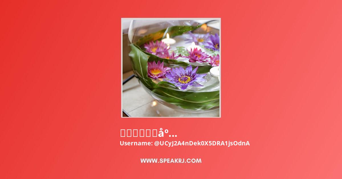 水生植物専門店 杜若園芸 Youtube Channel Subscribers Statistics Speakrj Stats