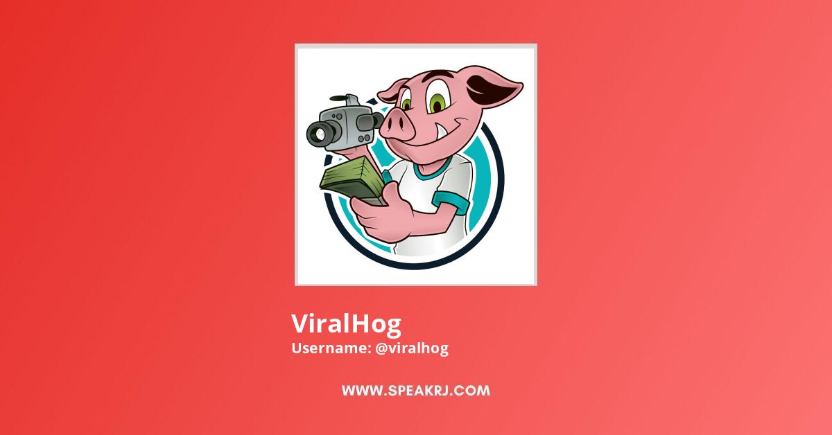 ViralHog YouTube Channel Stats