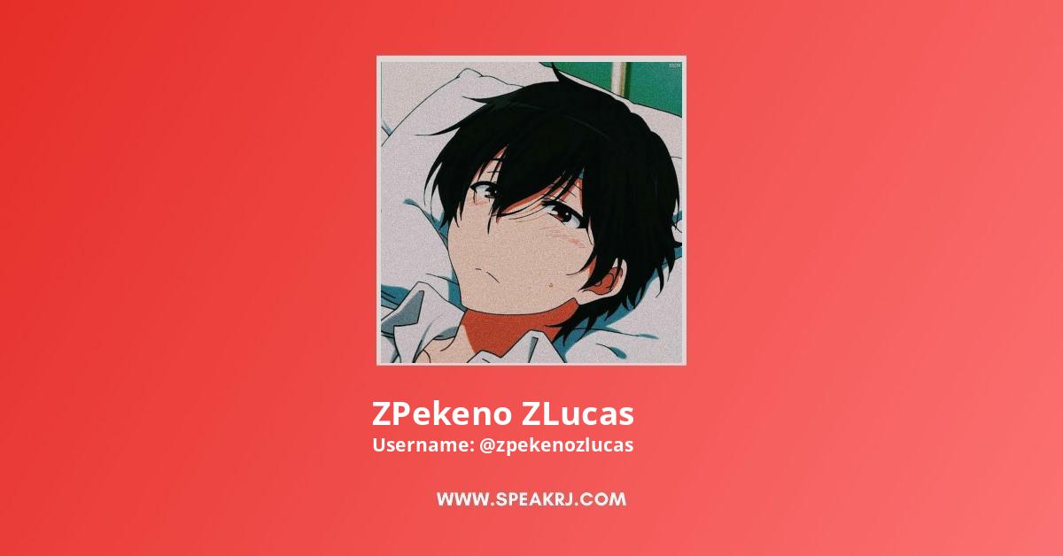 ZPekeno ZLucas YouTube Channel Stats